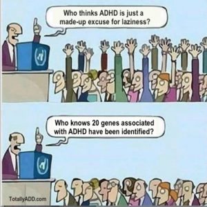 ADHD Genes