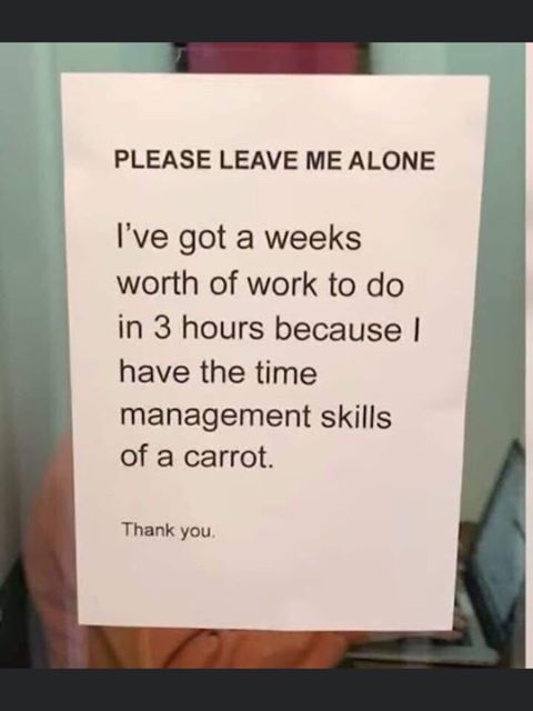 Please leave me alone I've got 3 weeks worth of work meme