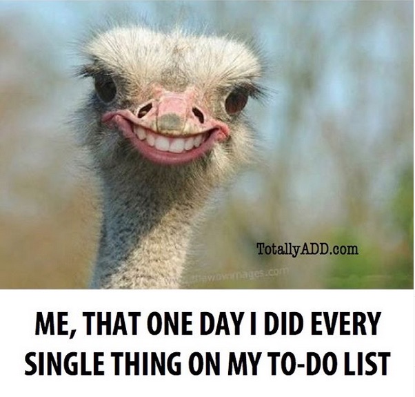 I did everything on my to do list
