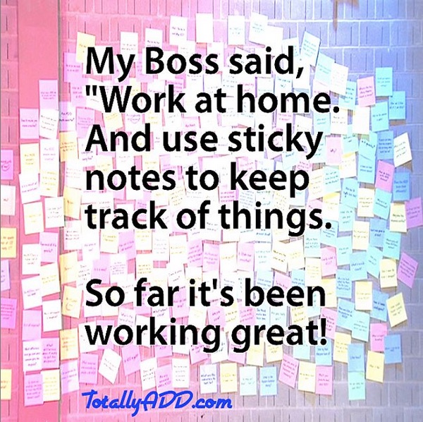 My bos said work from home