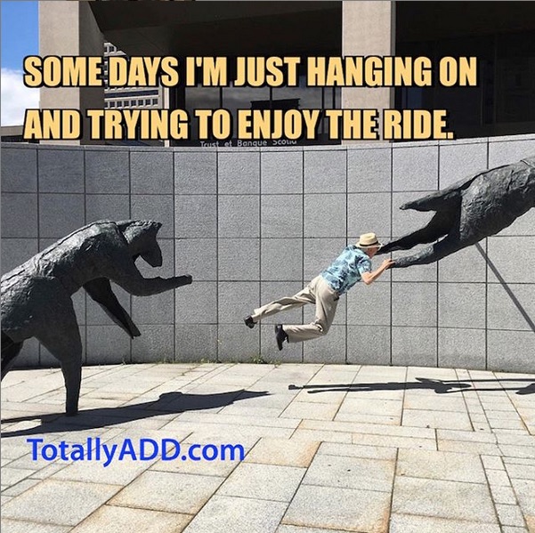 Enjoy the ride
