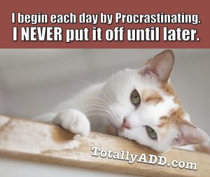 I Begin Each Day Procrastinating