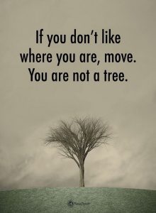 Don't Like Where You Are?
