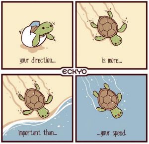 Your Direction Is More Important Than Your Speed