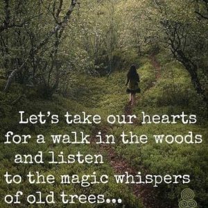 Long Walk