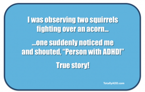 Squirrel