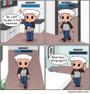 Meme about forgetting things from wyattandblu.com