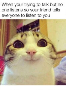 Meme about no one listening