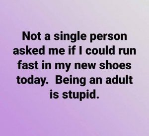 Joke about being an adult