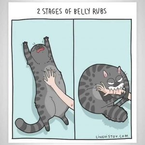 meme about petting a cat by lingvistov.com