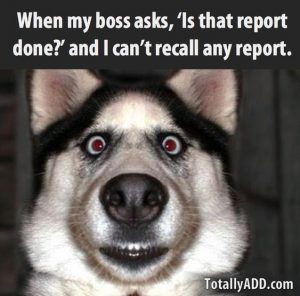 Is That Report Ready?
