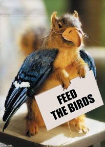Squirrel holding feed the bird signs