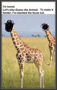 Guess the animal meme
