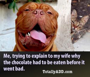 TotallyADD Meme about eating all the chocolate