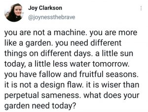 You Are Not a Machine