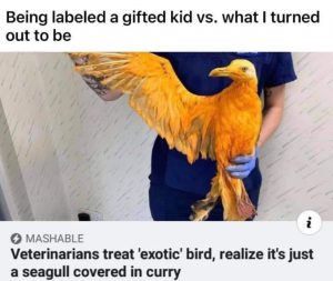 Meme about being gifted