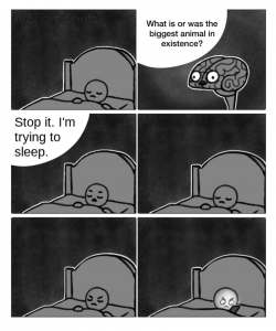 trying to sleep mind question meme